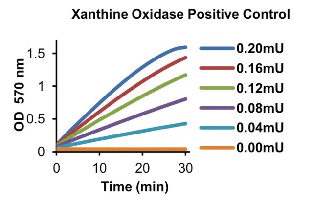 黄嘌呤氧化酶活性检测试剂盒,xanthine oxidase